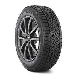 Bridgestone Blizzak DM-V2